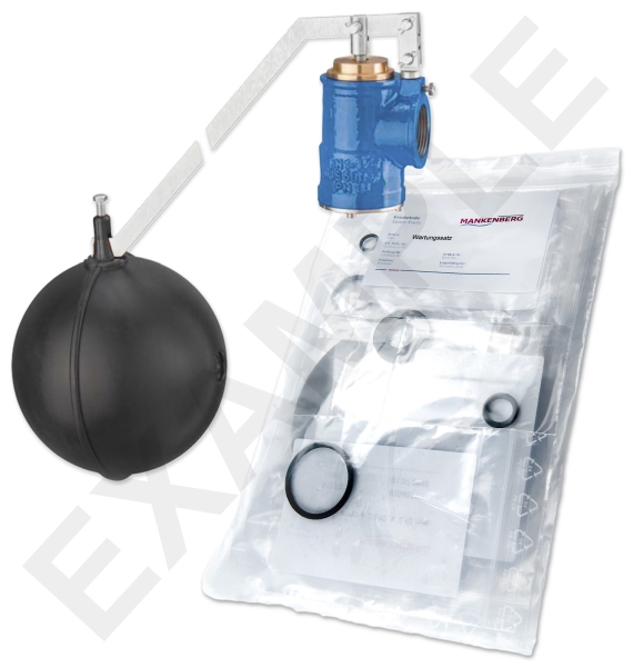 Kit de mantenimiento para ATHENA (NV 95e) | DN 32 (1 1/4“) | 73683020